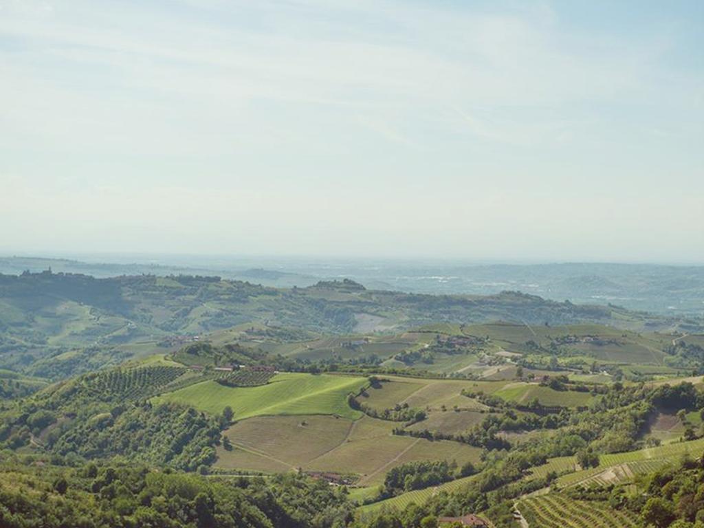 Гостевой дом Cascina Langa Trezzo Tinella Экстерьер фото