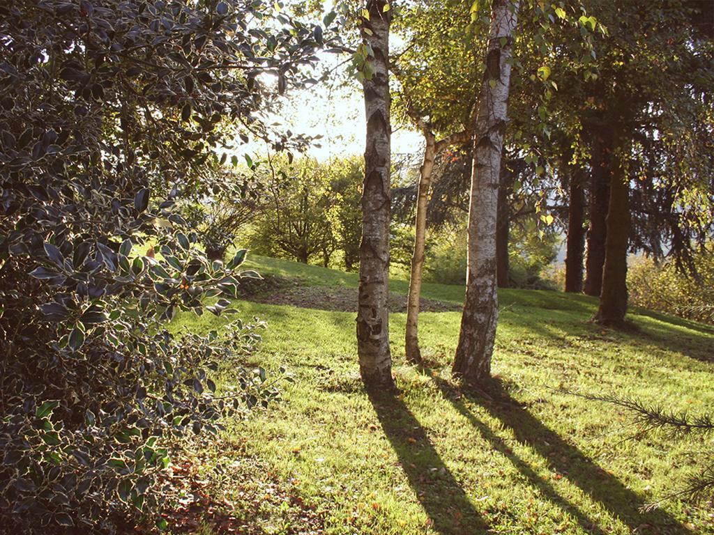 Гостевой дом Cascina Langa Trezzo Tinella Экстерьер фото